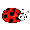 Lady bug